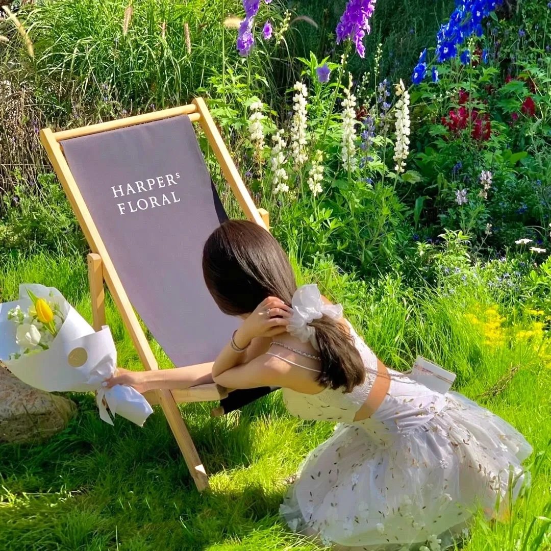 狮子彻夜未眠