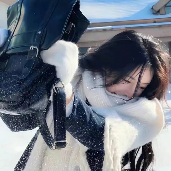 蔷薇少女